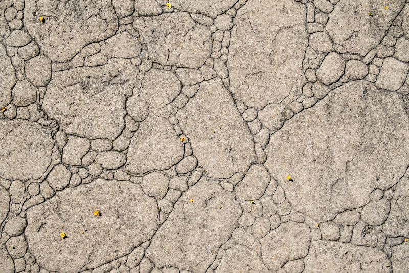 Decorative Concrete Repair in Clearwater, FL